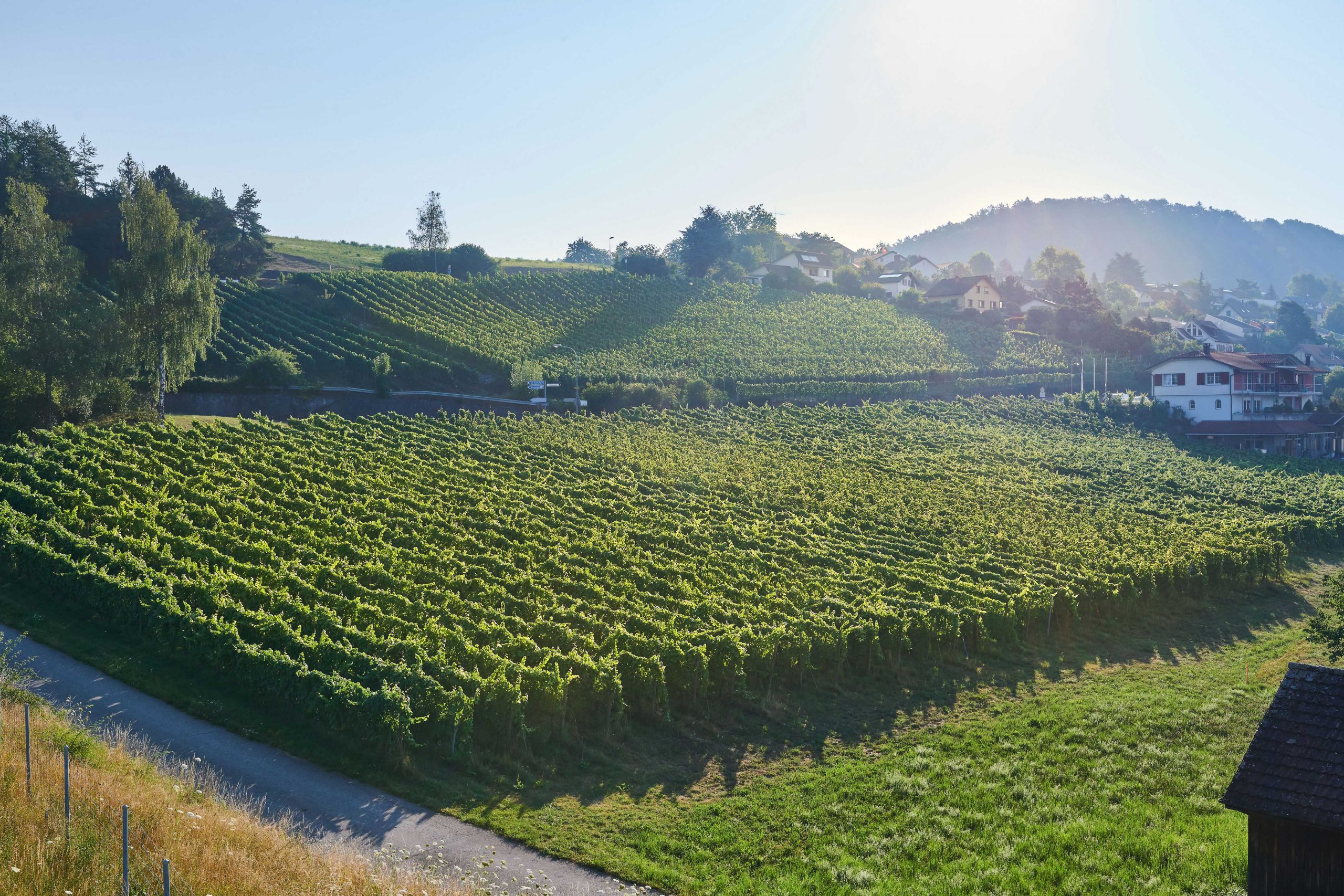 Weingut Besson-Strasser