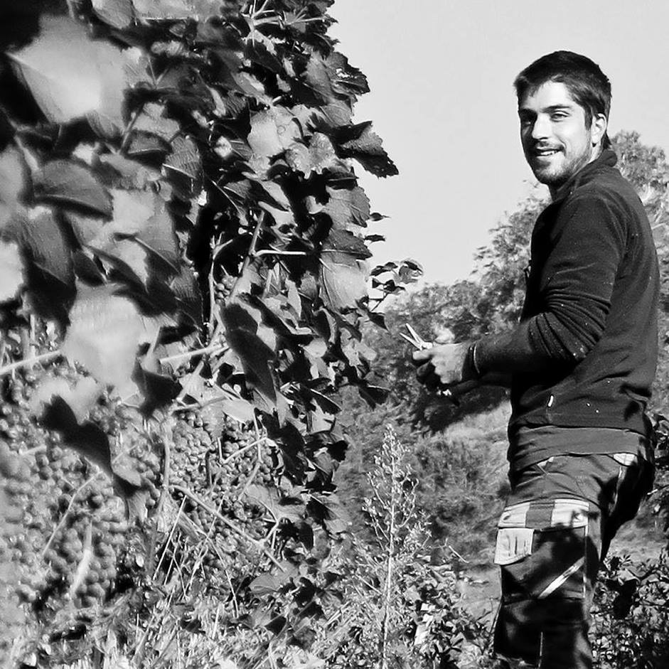 Weingut Cipolla GmbH