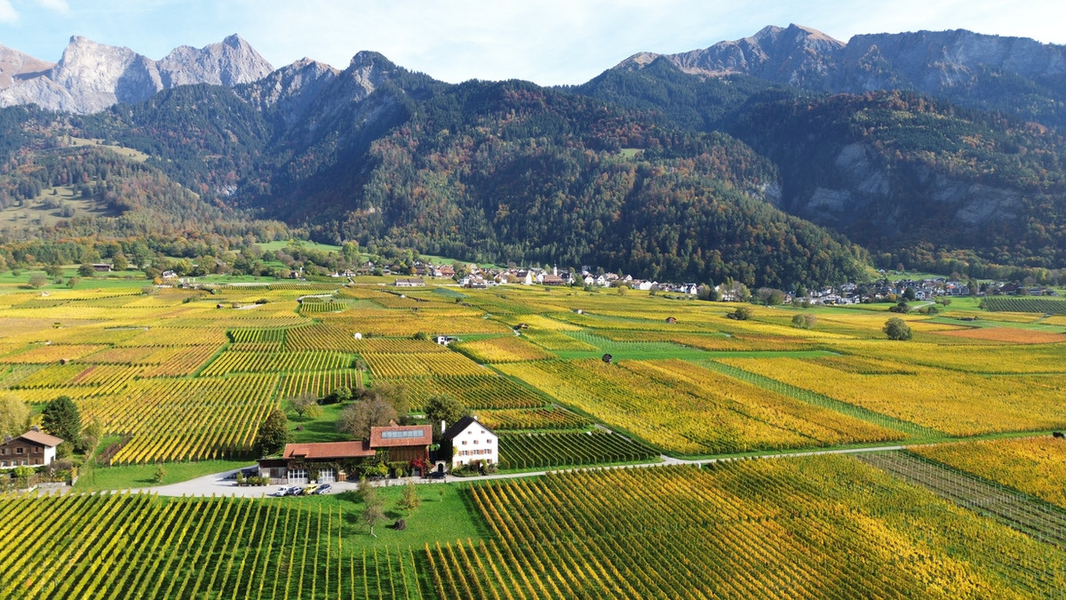 Weingut Eichholz