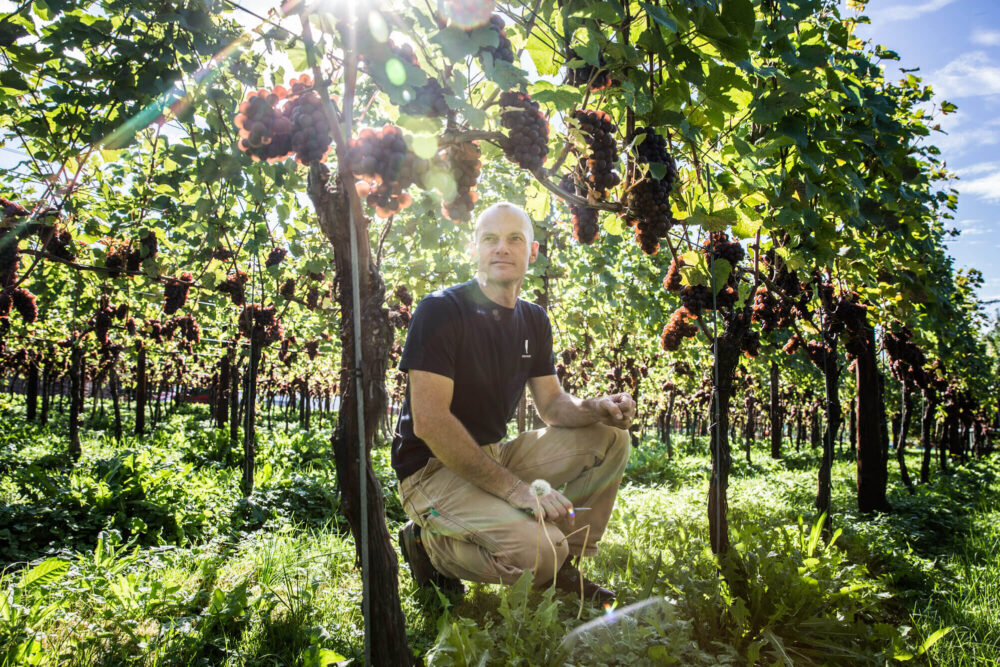 Weingut Erich Meier