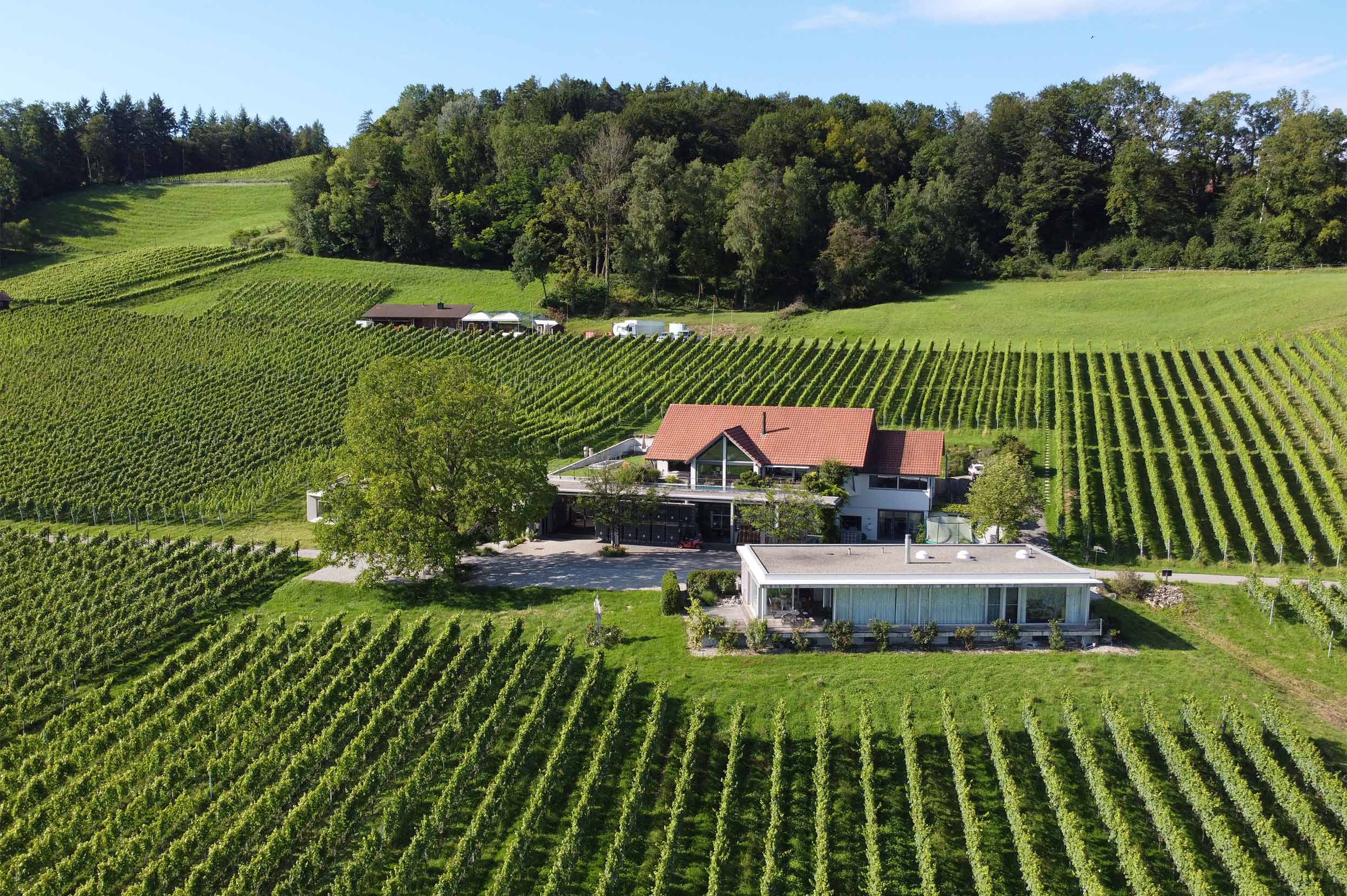 Weingut Nadine Saxer