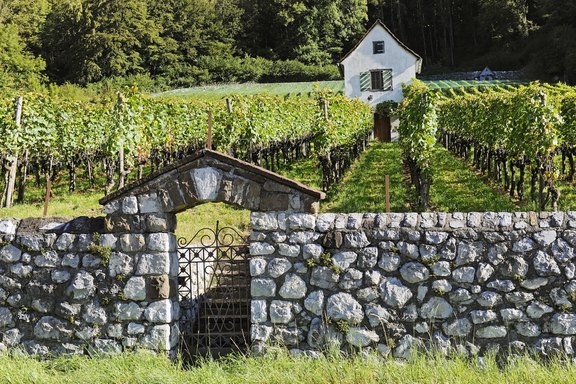 Weingut Steinersteg, Christian Müller
