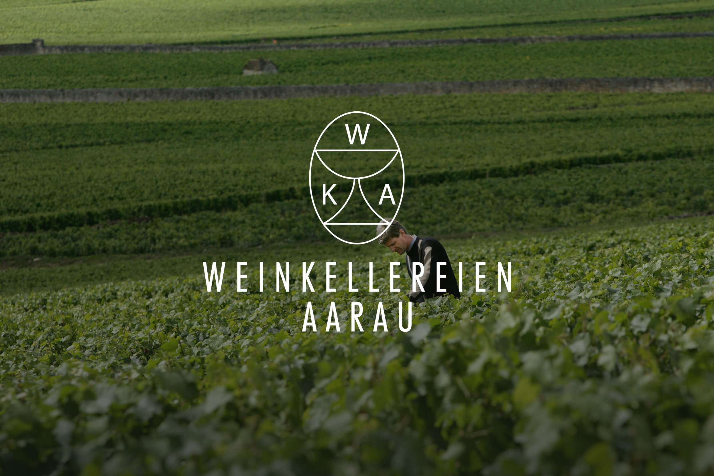 Weinkellerei Aarau AG