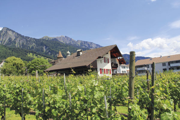 Wullschleger Weine