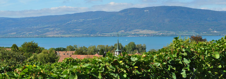 Association des vignerons broyards