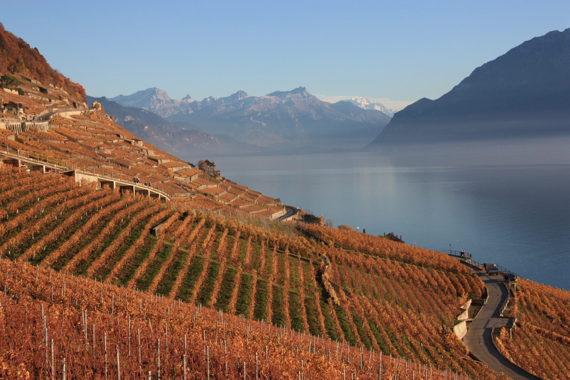 Domaine le Parrain