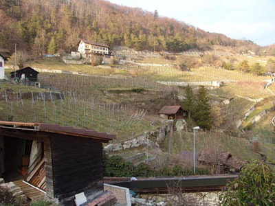Domaine Chante Merle