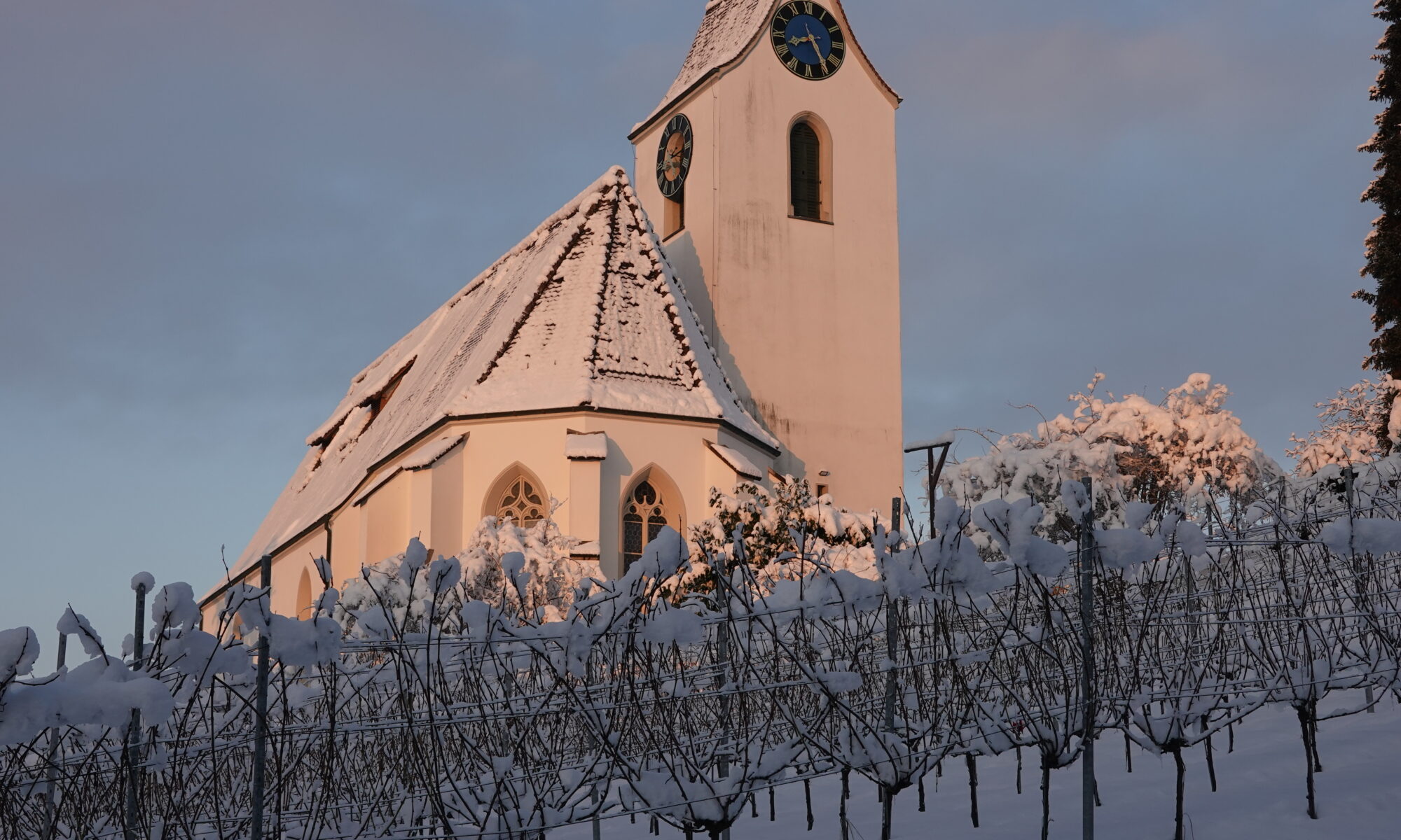 RSteiner Weine