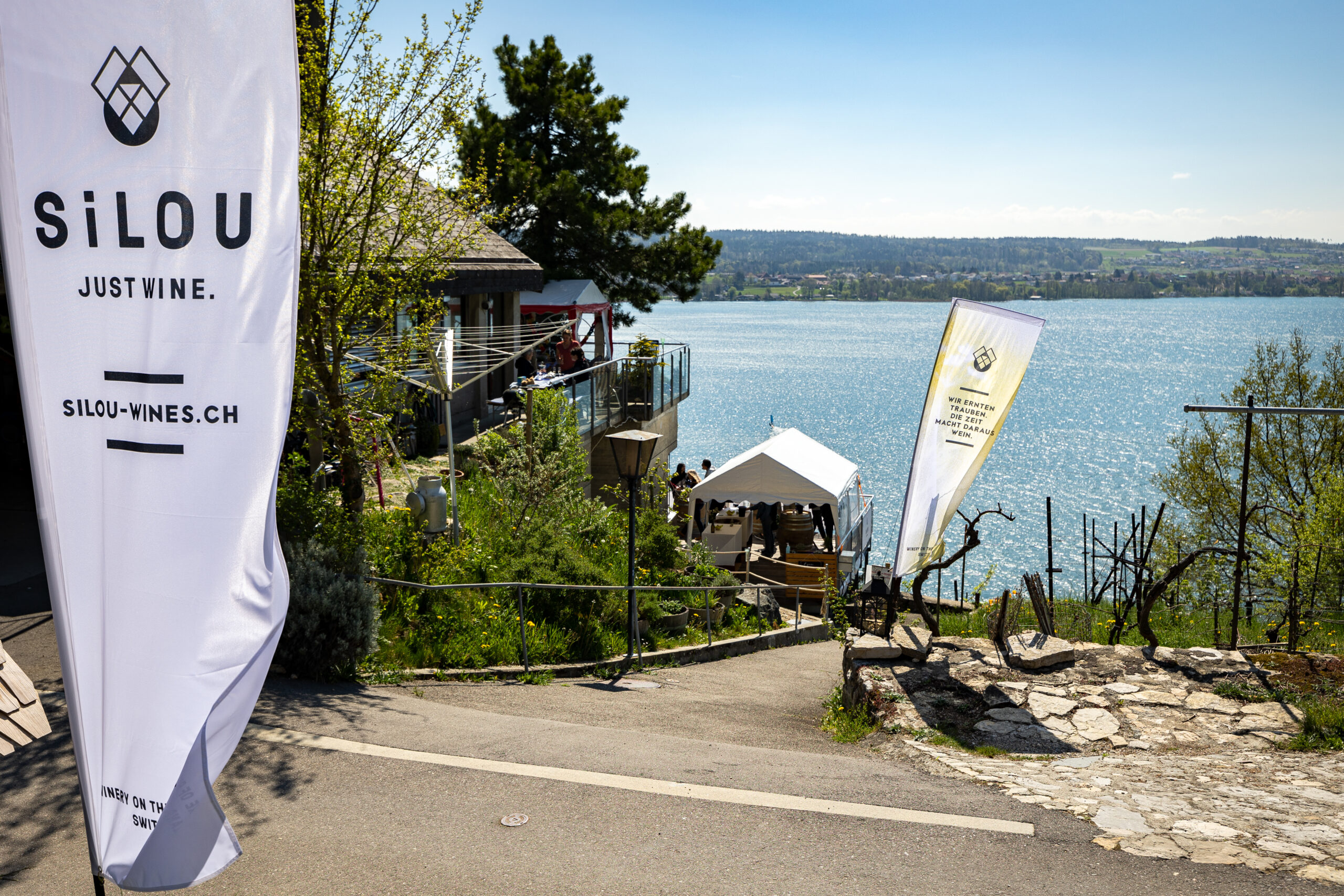 SiLOU Wines