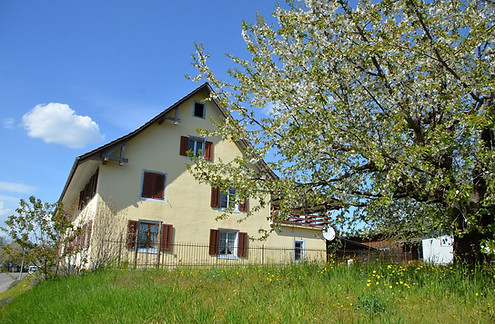 Weinbau Zähner