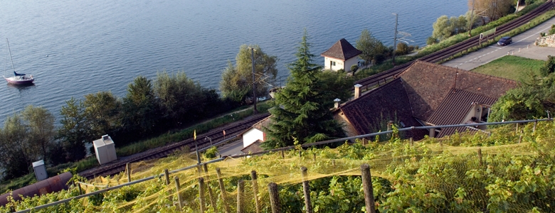 Weingut Brunnmühle