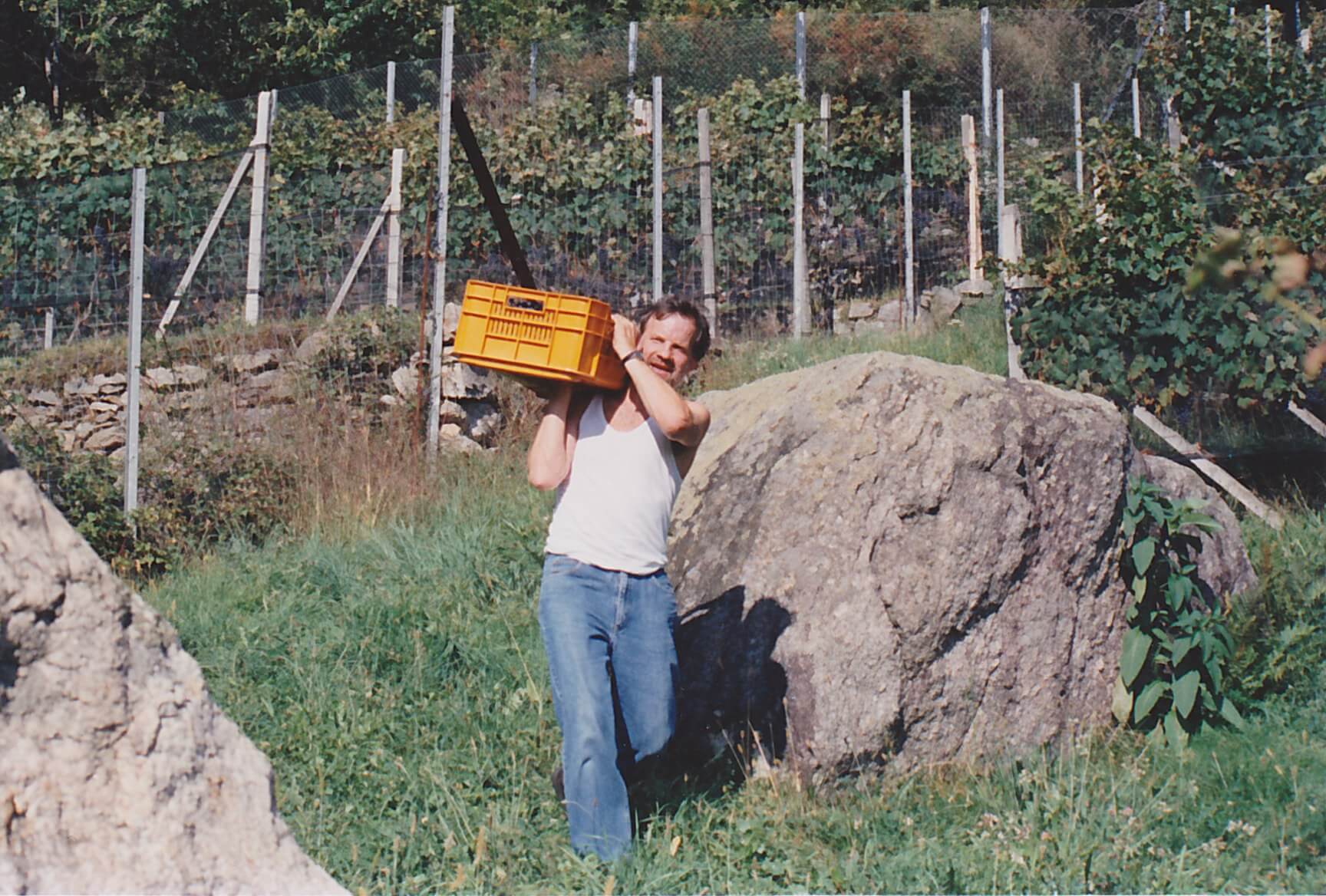 Cantina Ghidossi – Ghidossi Wine Group
