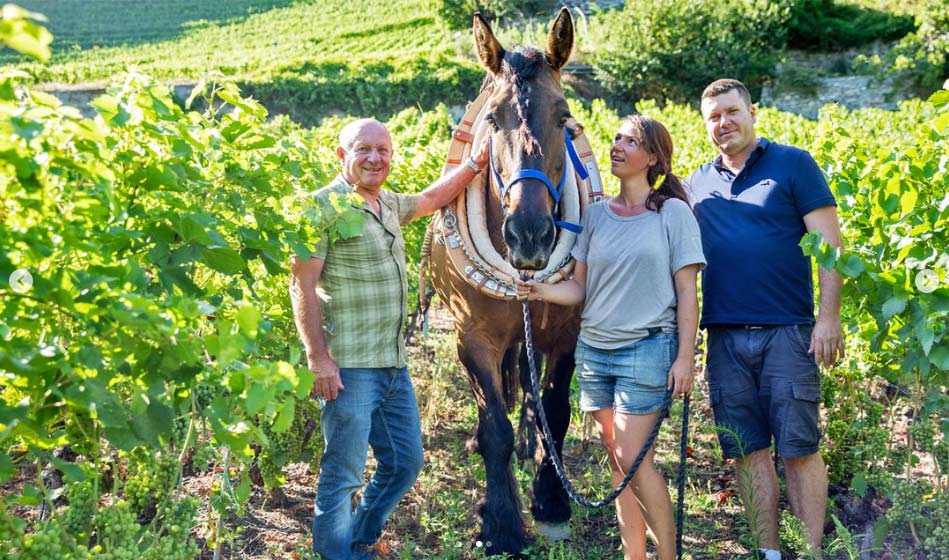 Domaine Dussex