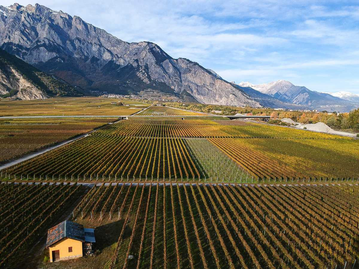 Cave de l’État du Valais – Domaine du Grand Brûlé