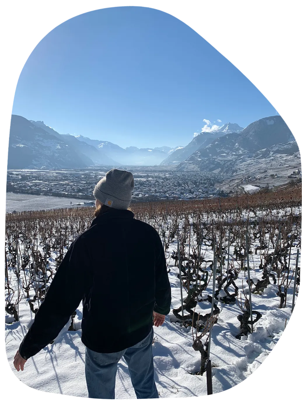 Domaine Lucas Madonia