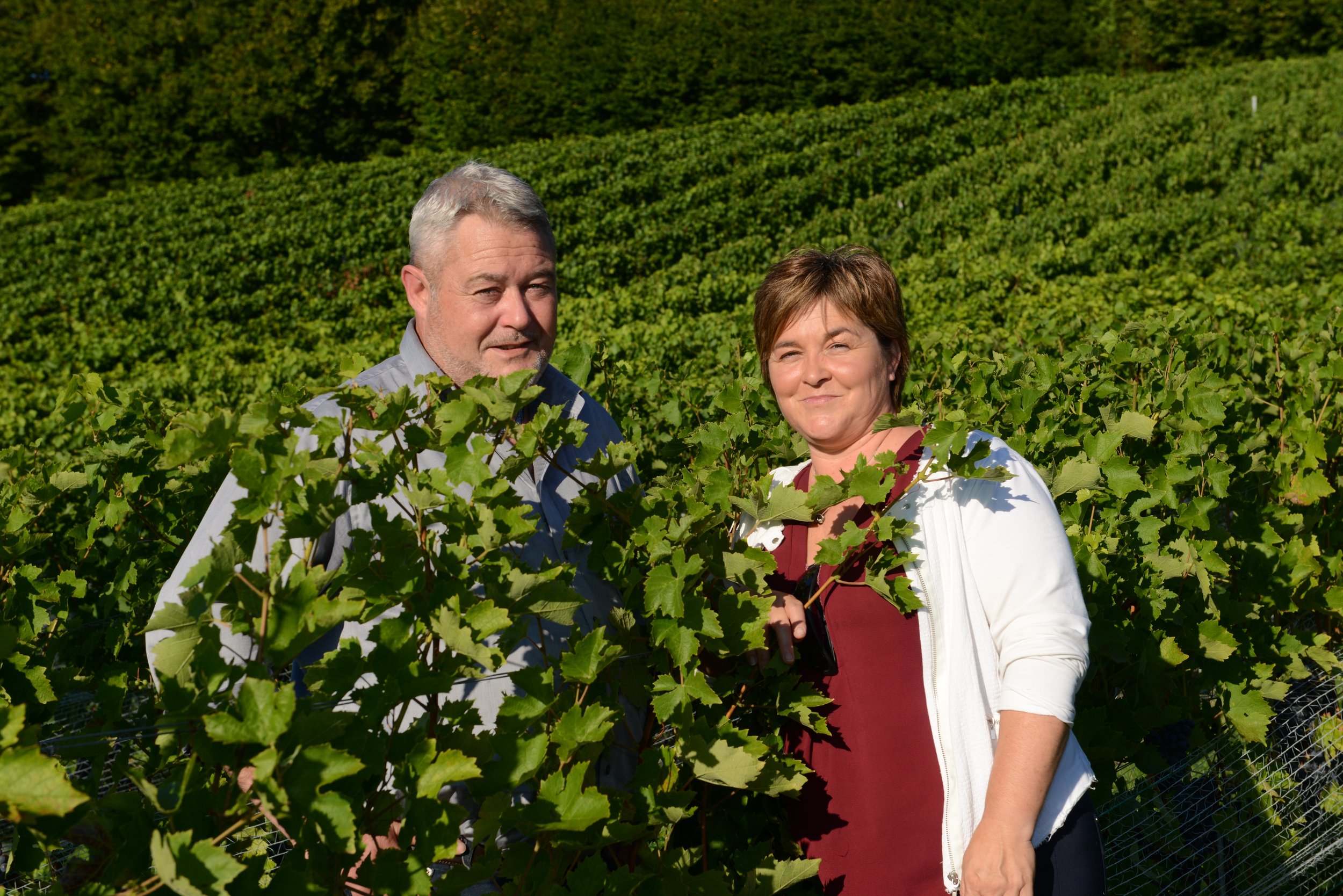 Domaine Agassis