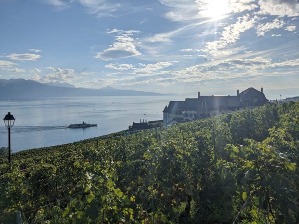Domaine Crêt Dessous