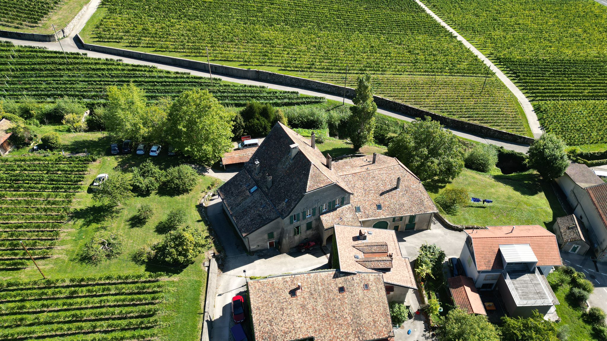 Domaine de Morsier "En Crochet"