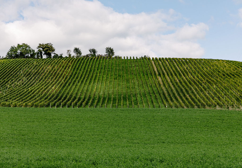 Domaine du Moulin