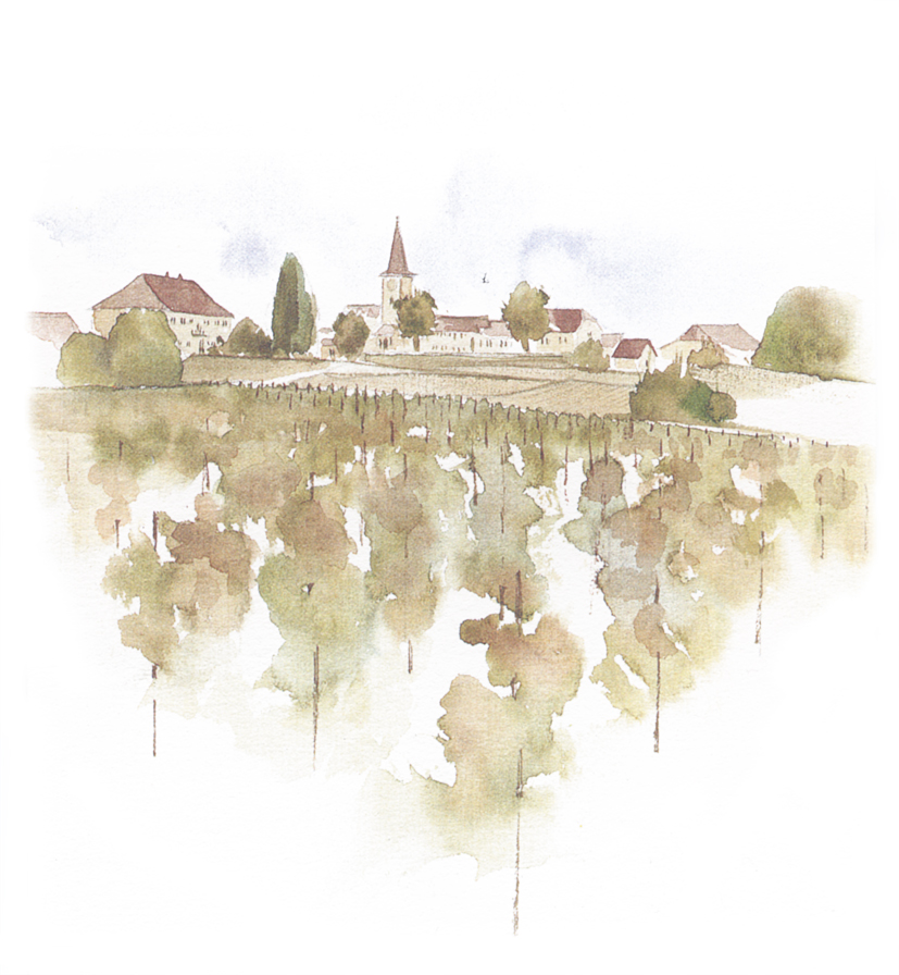 Domaine Rossier