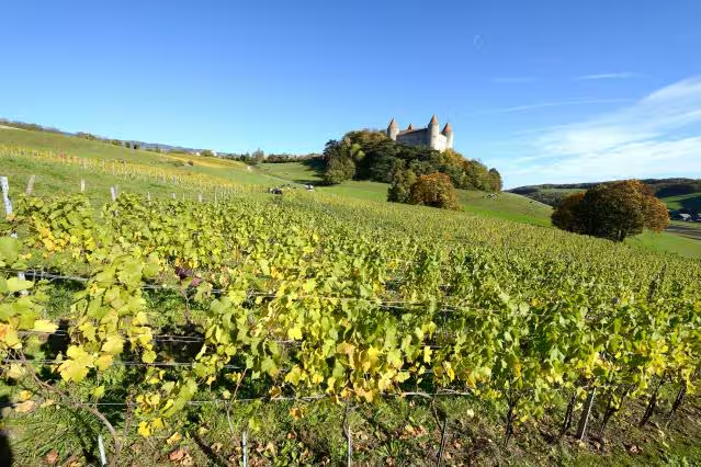Olivier Chautems Vins