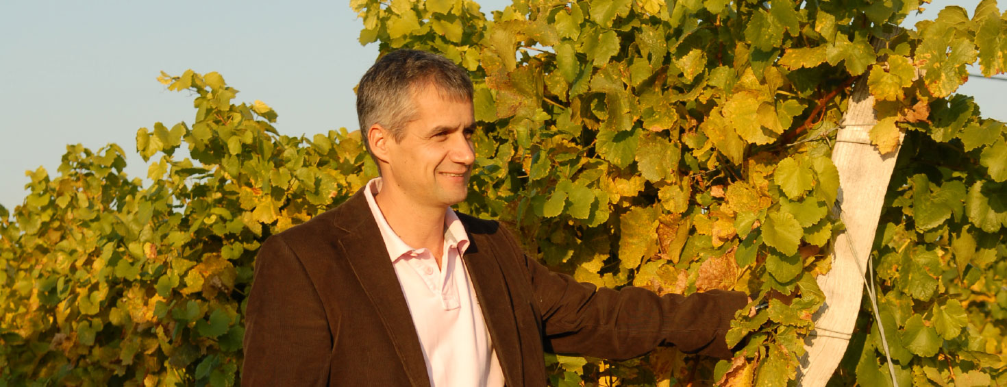 Weingut Johannes Holzer