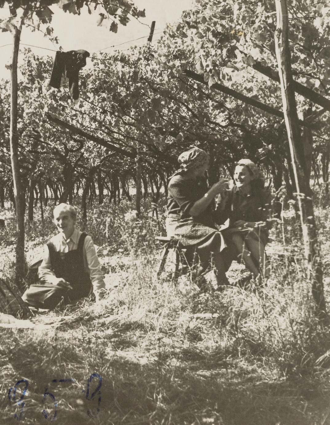 Ansitz Rynnhof