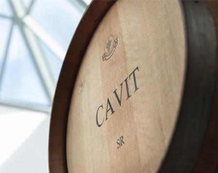 Cavit