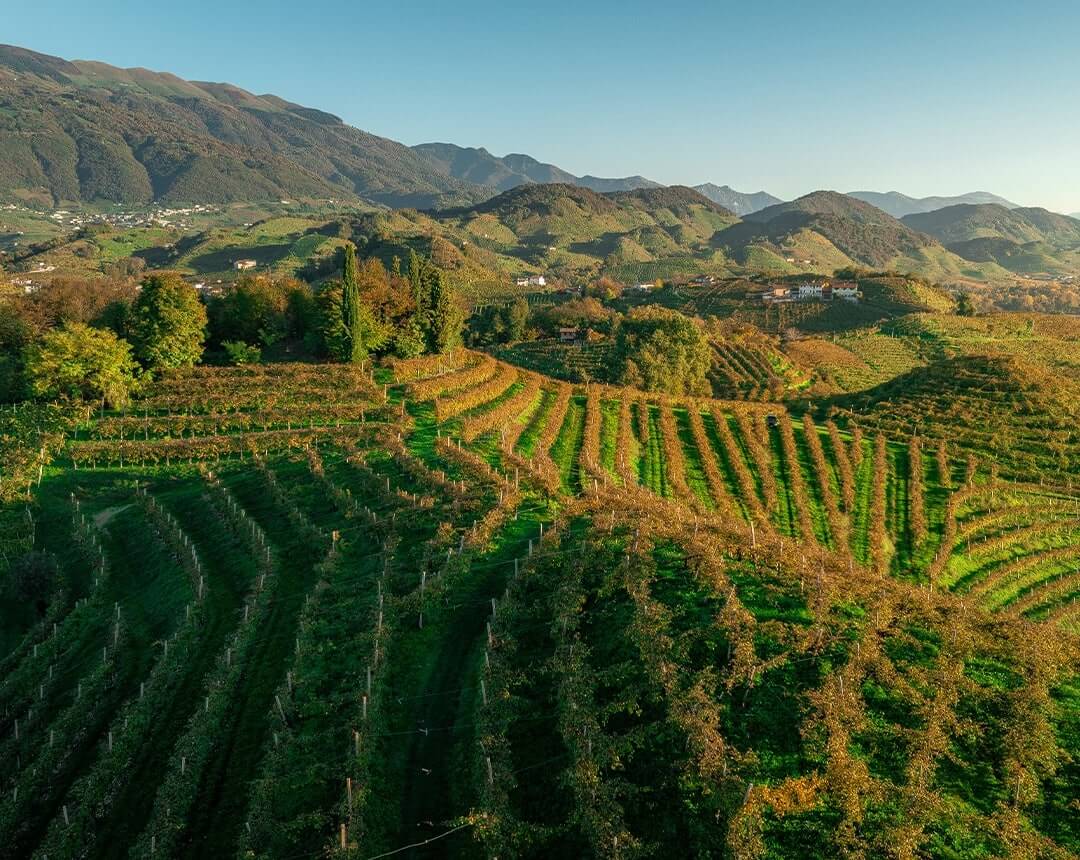 La Tordera
