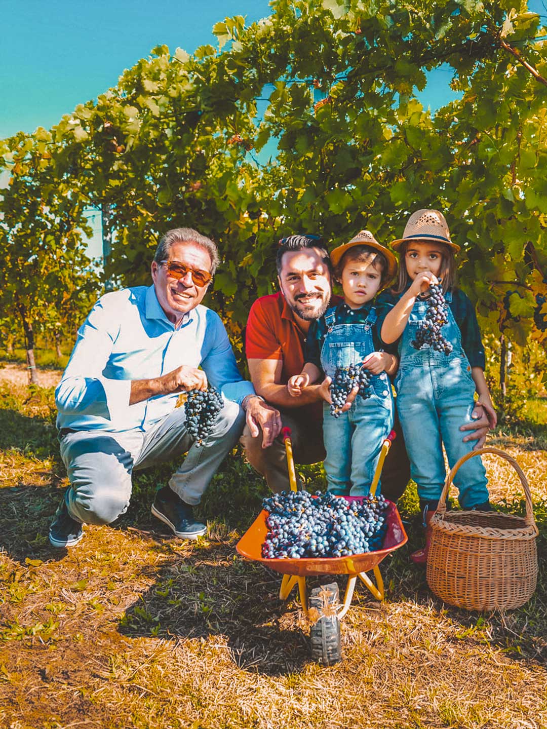 Azienda Agricola Isola Augusta