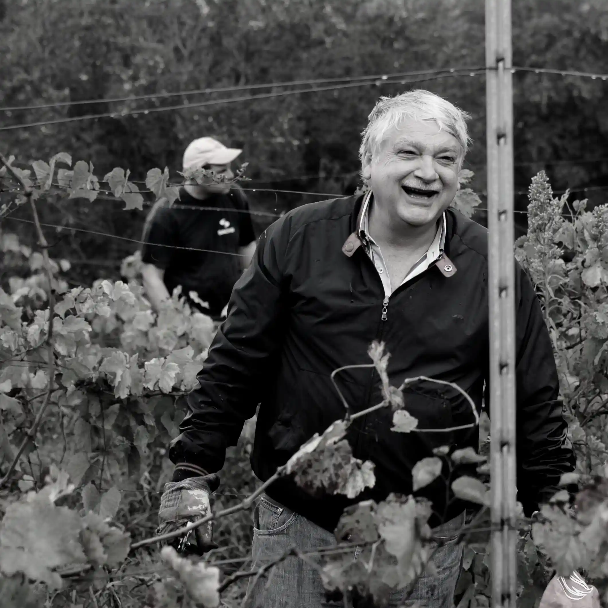 Paone Mimmo Produttori Vinicoli