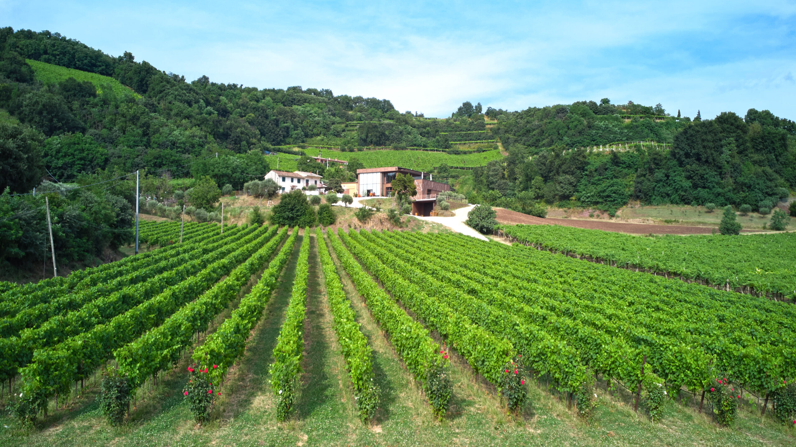 Tenuta Tarcisio Maule Srl Società Agricola