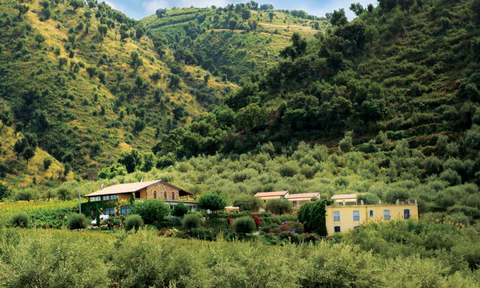Antica Tindari S.r.l.