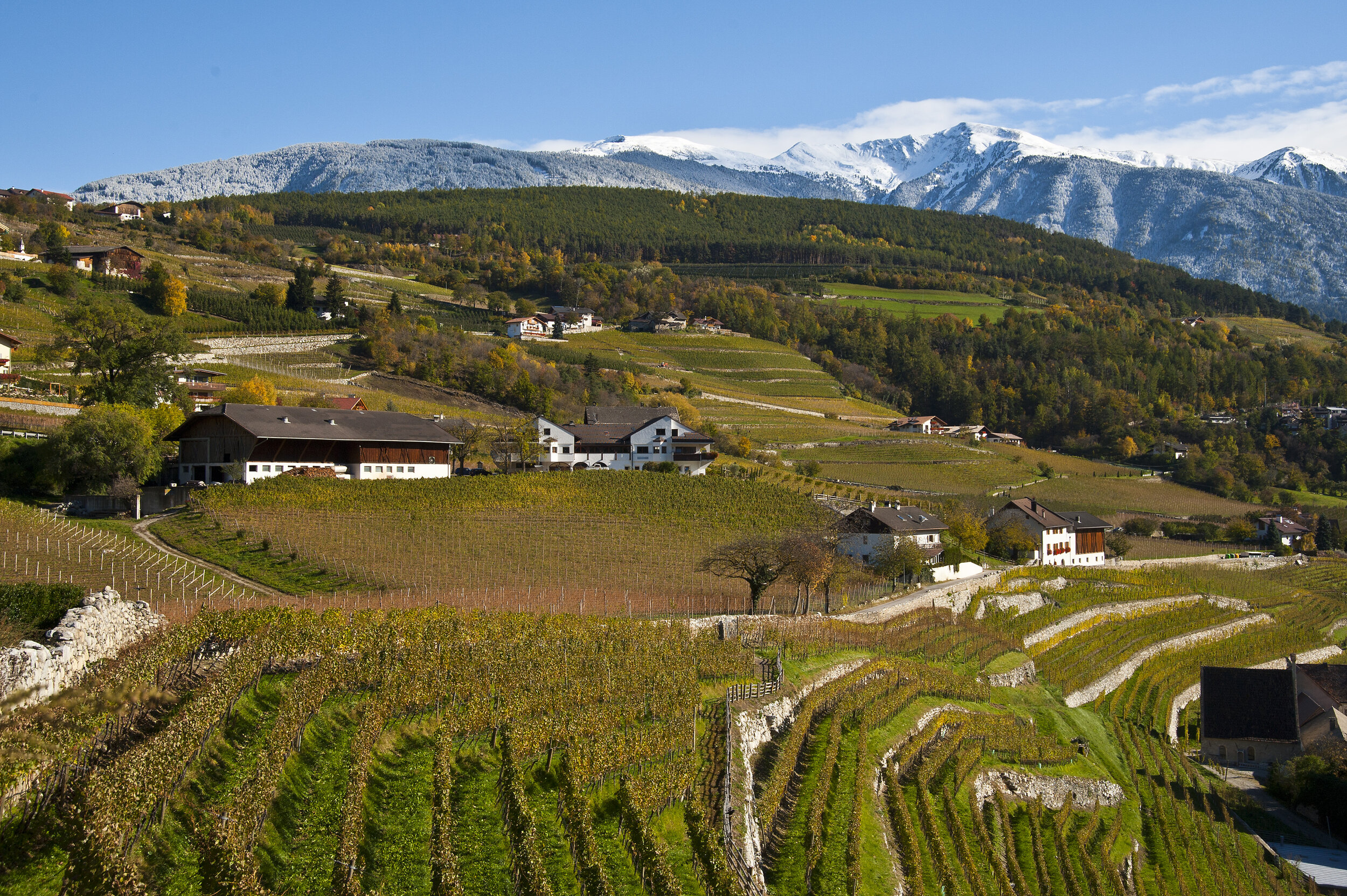 Köfererhof