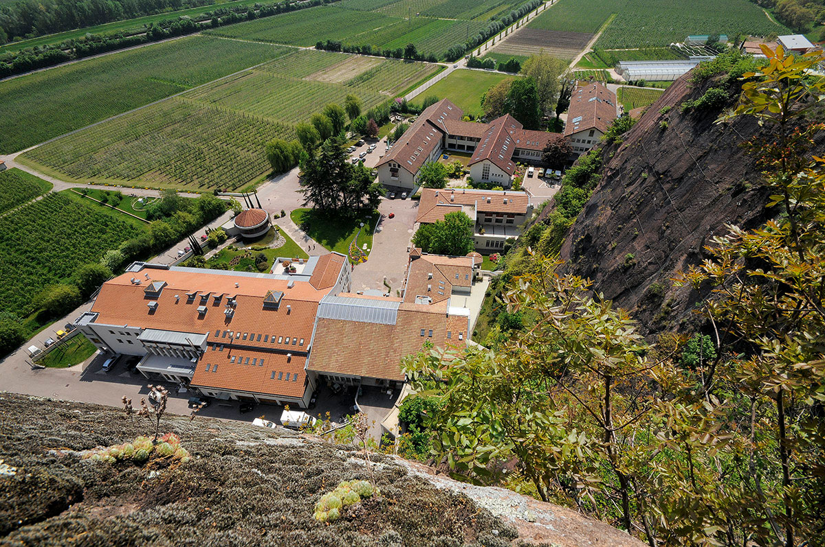 Landesweingut Laimburg