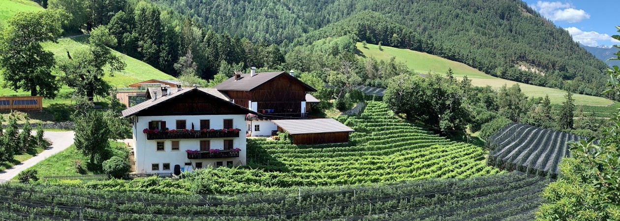 Villscheiderhof