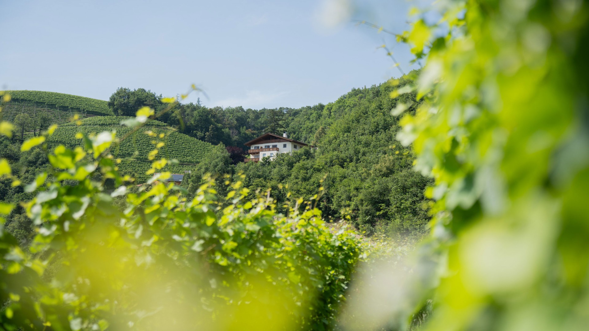 Weingut Prackfol