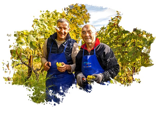 Weingut Radoarhof
