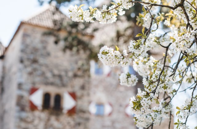 Weingut Schloss Wehrburg
