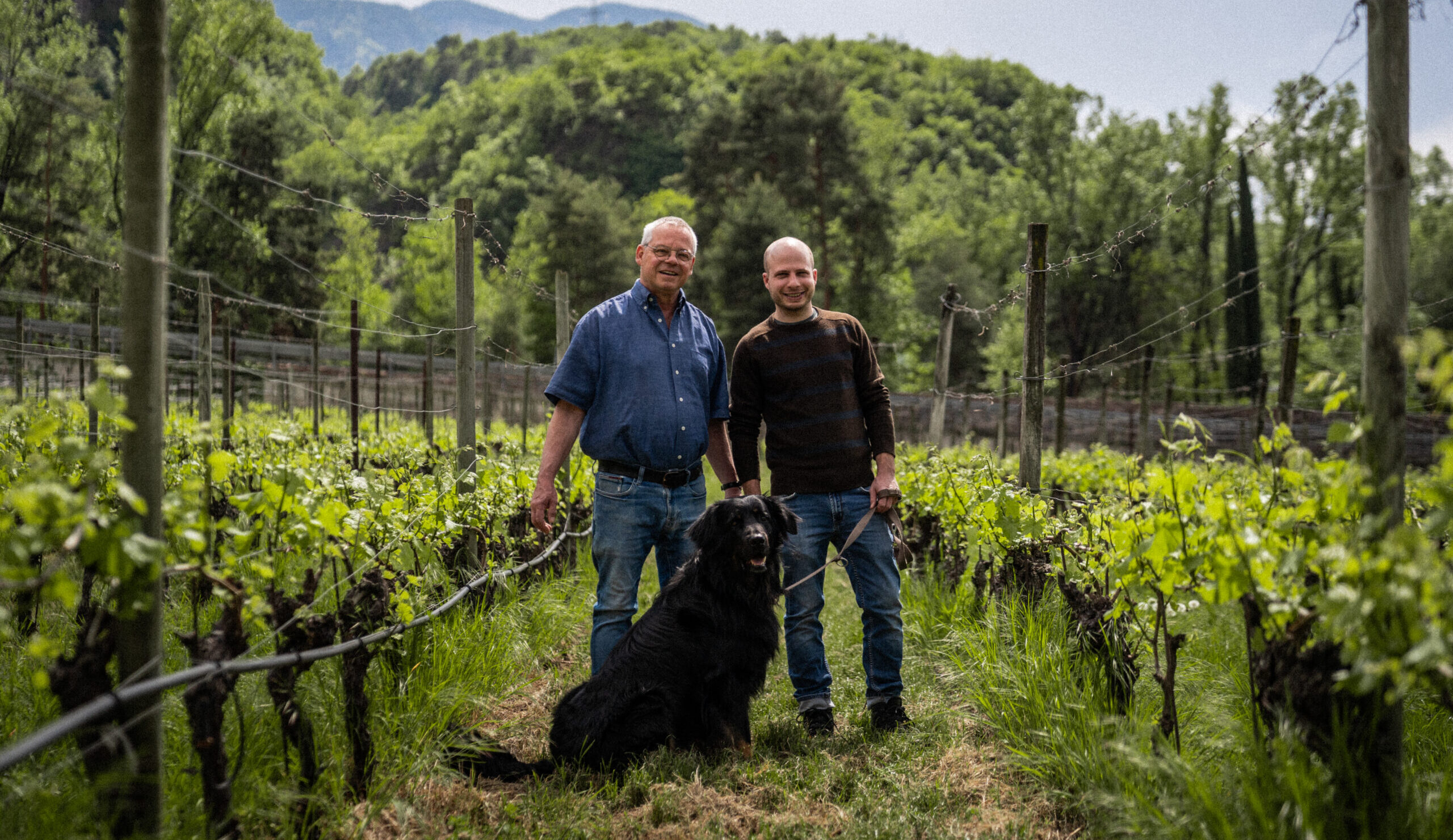 Weingut Waldthaler