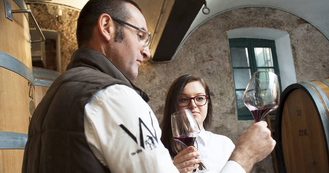 Weingut WeineWolf
