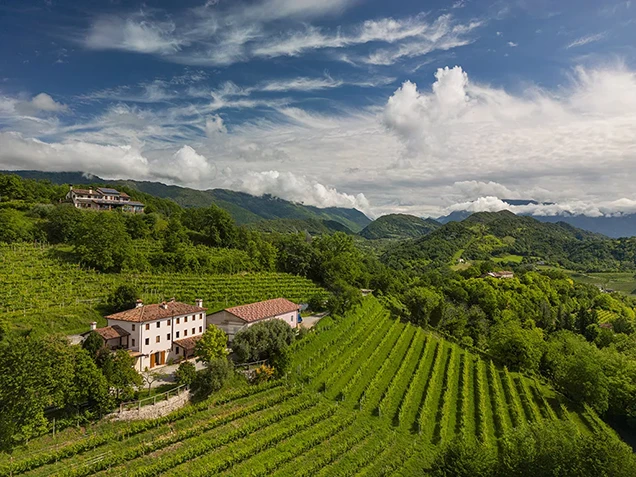 Azienda Agricola Antoniazzi Dario
