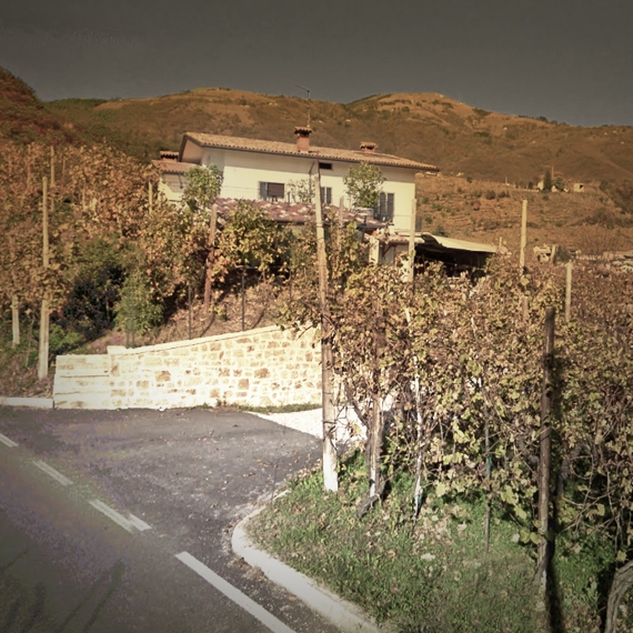 Bortoluz Pierina