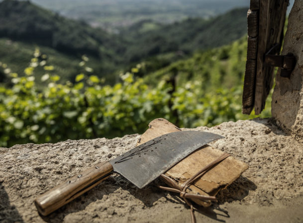 Cantina Colli del Soligo