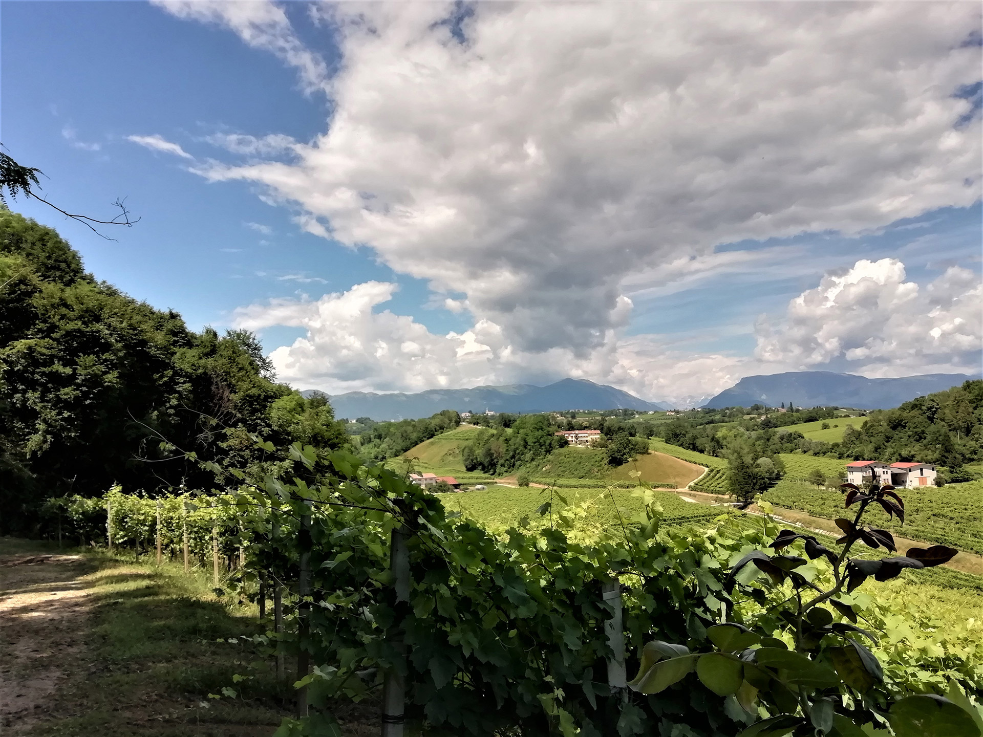 CastellAlta