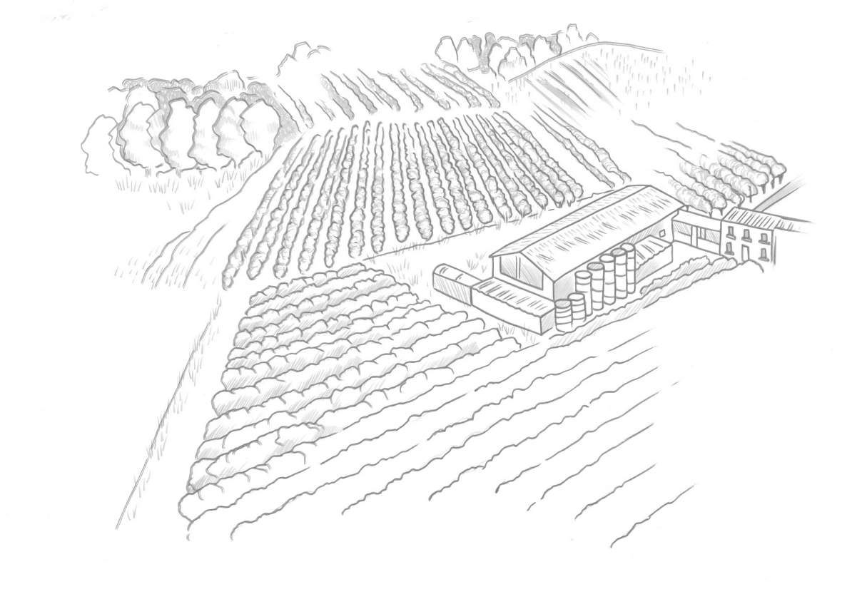 De Riz