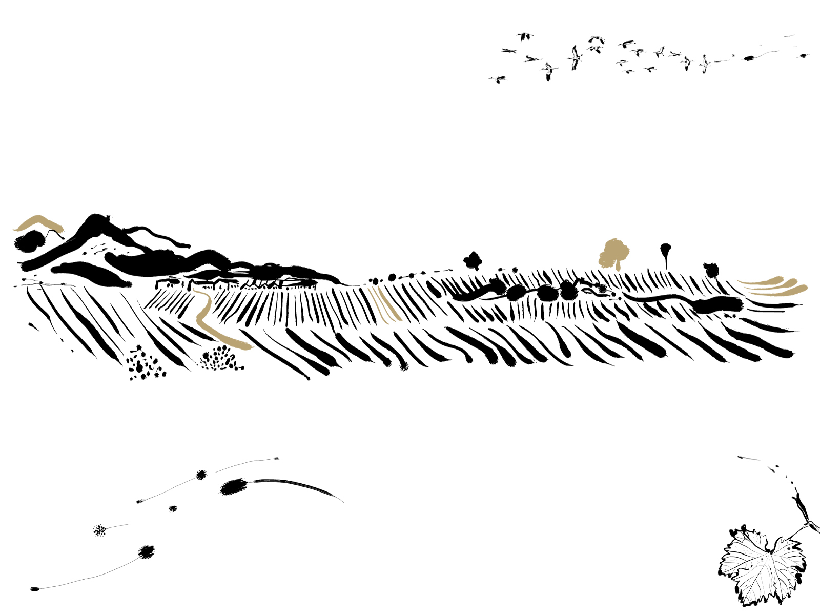 L’Antica Quercia