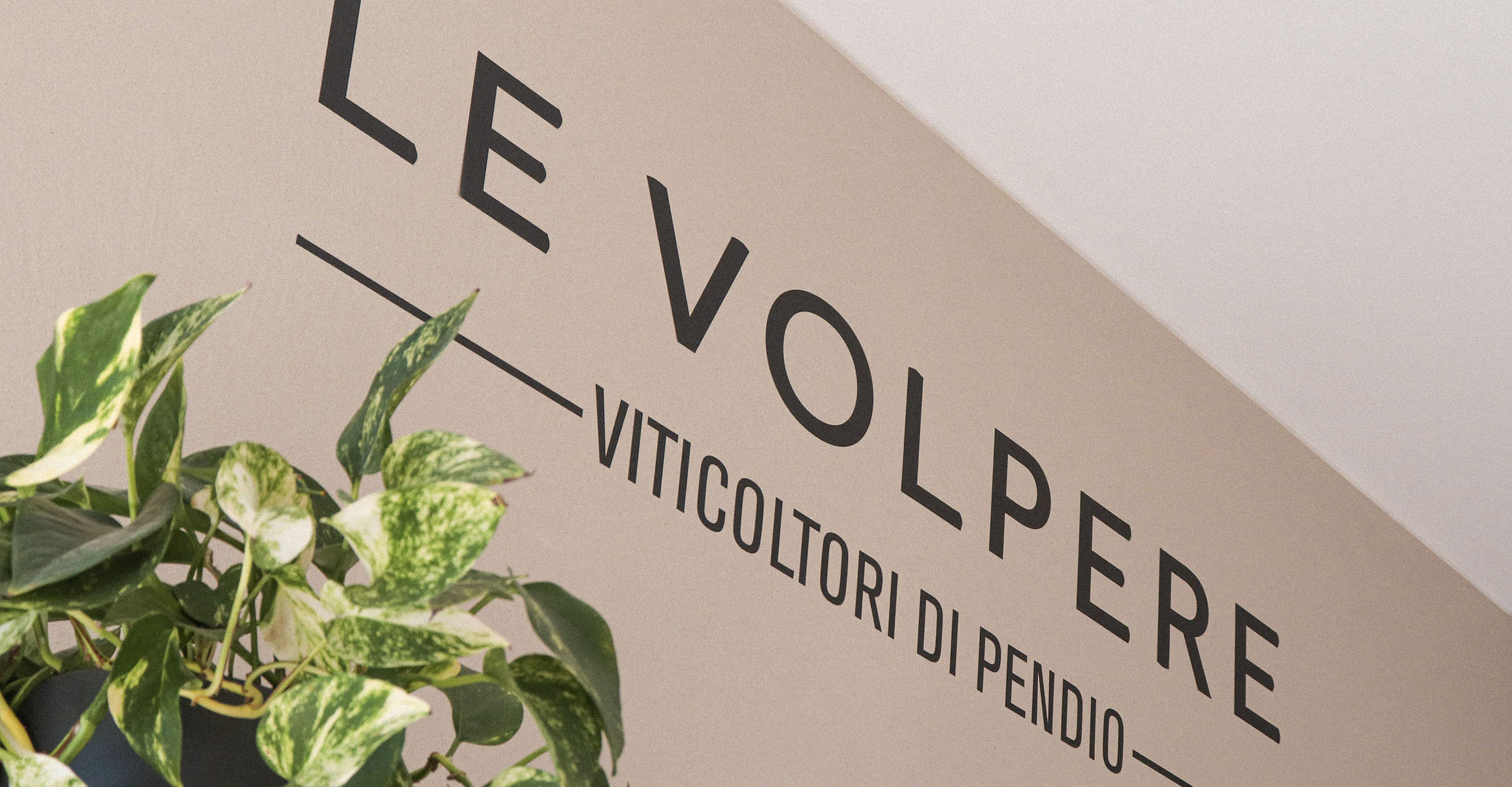 Le Volpere
