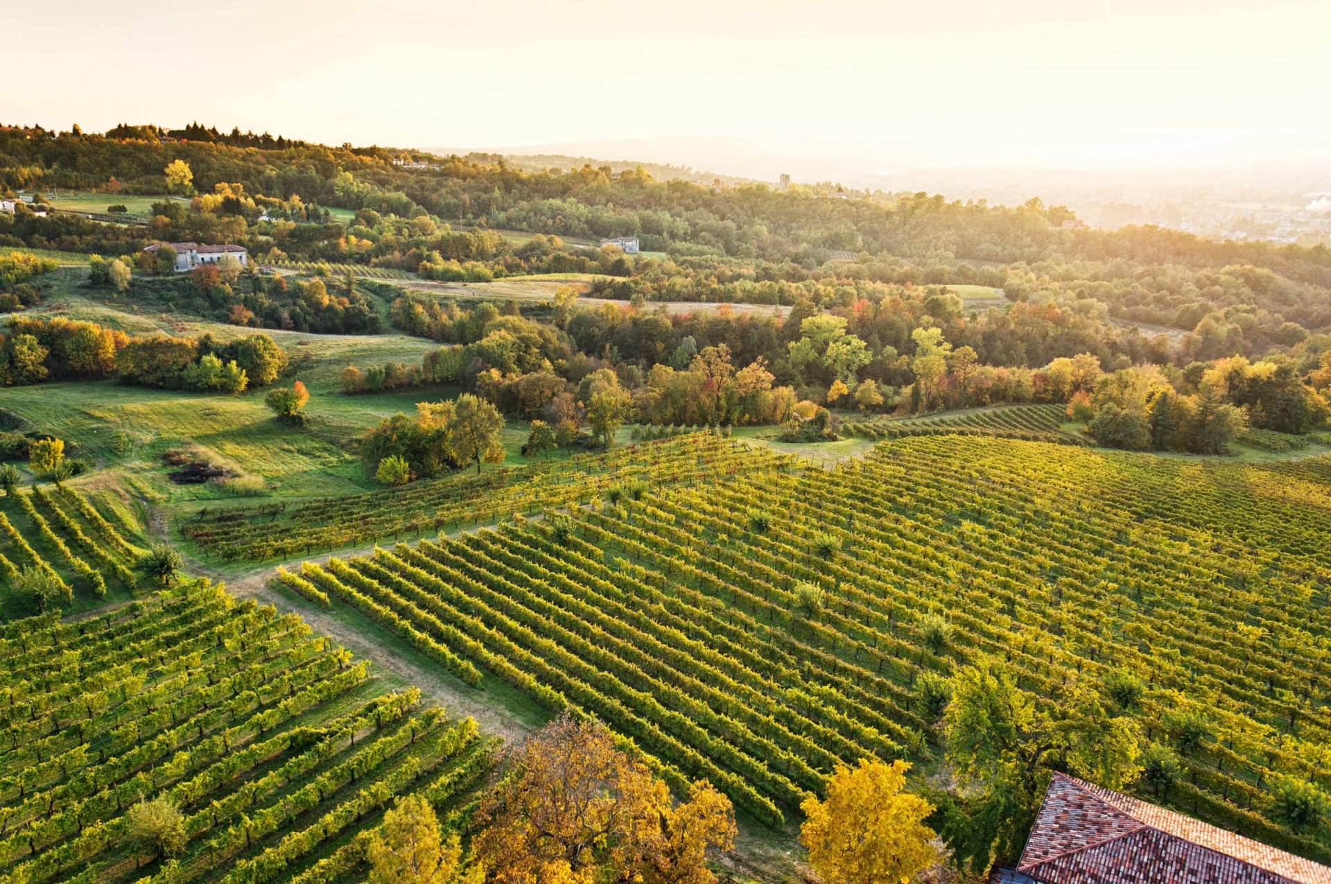 Tenuta degli Ultimi