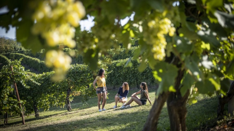 Tenuta Ninemore
